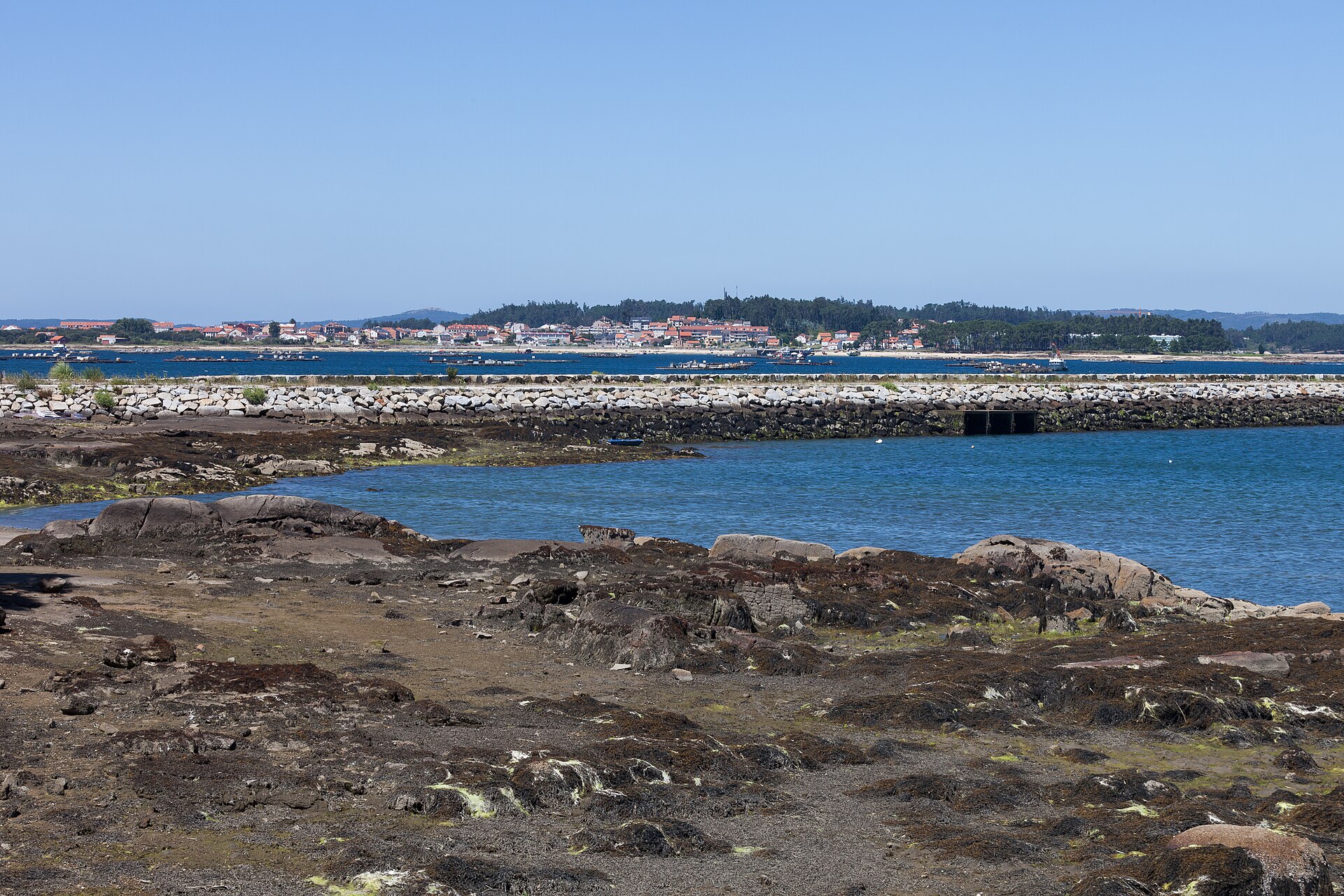 Port de Vilanova de Arousa avec l'Illa de Arousa et les bateas en arrière-plan