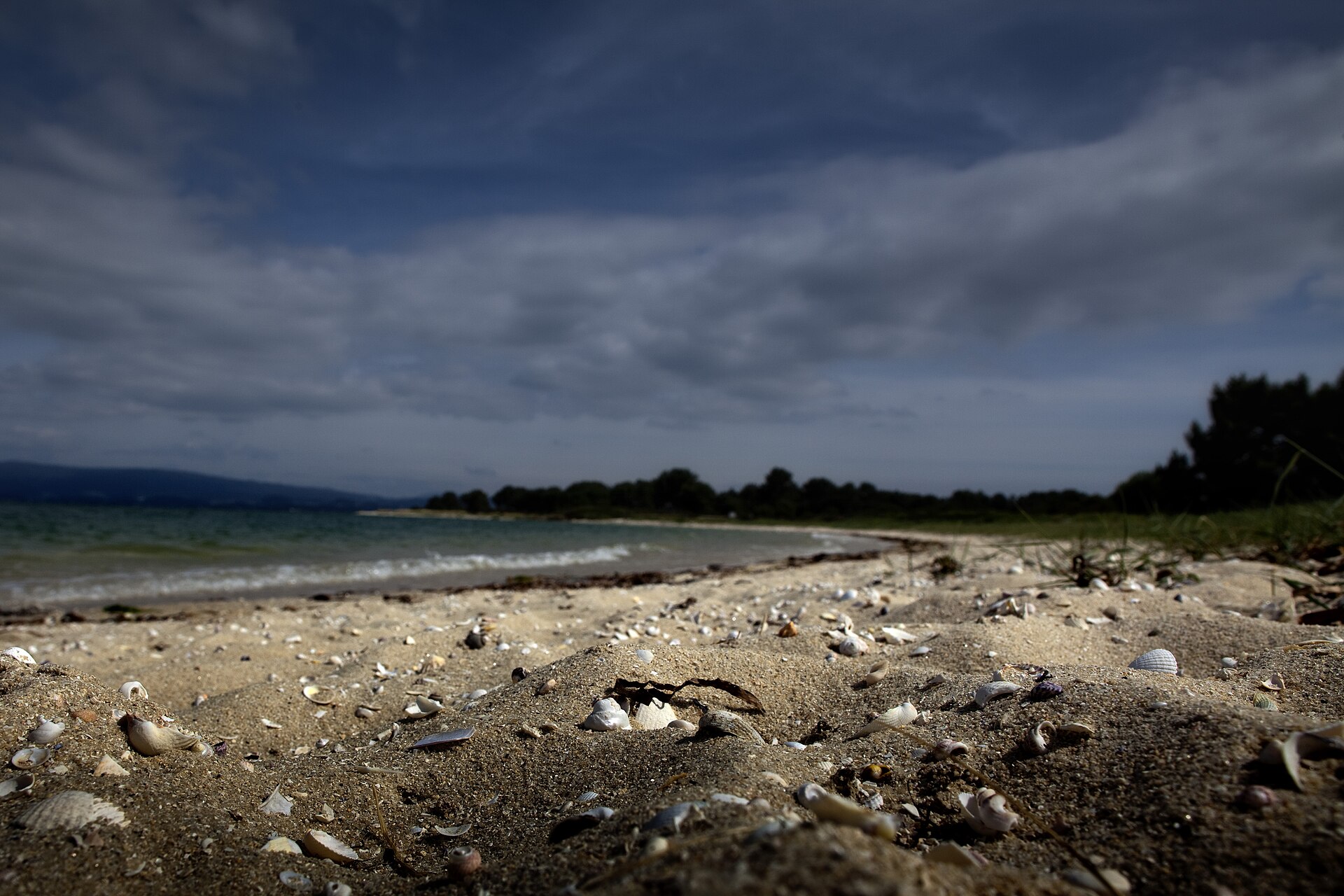 Beach on the Illa de Arousa, a regular swimming stop on our trips