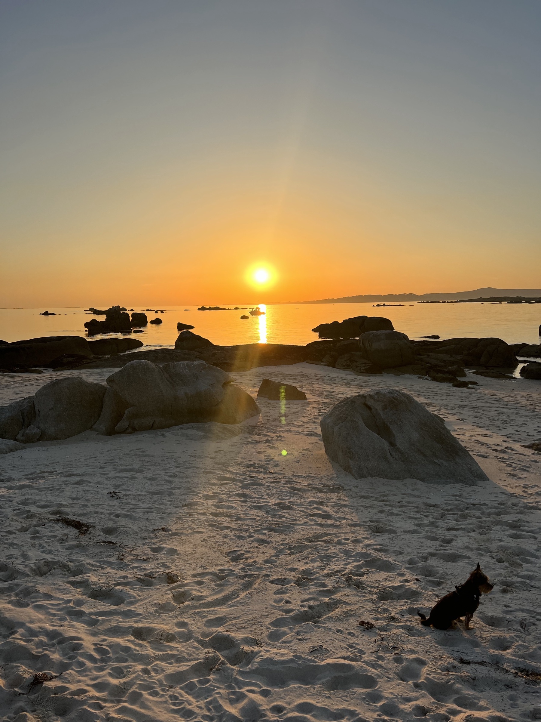 Atardecer dorado en una playa de la Ría de Arousa con horizonte despejado y mar tranquilo