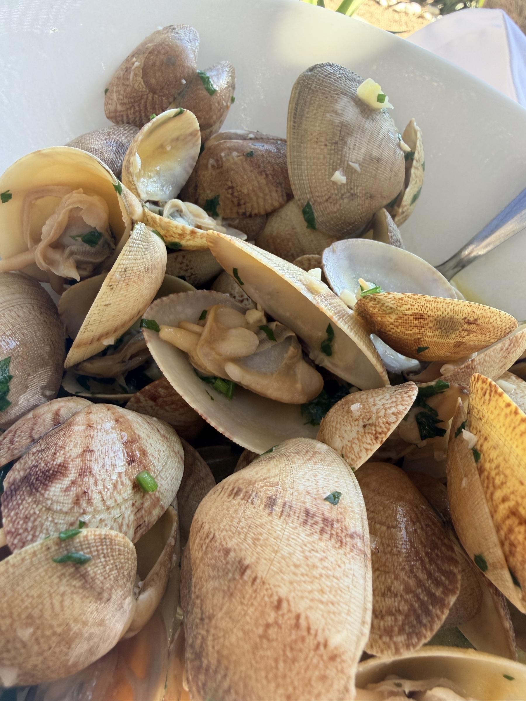 Plato de almejas frescas en salsa de marisco gallego servidas en restaurante de la Ría de Arousa